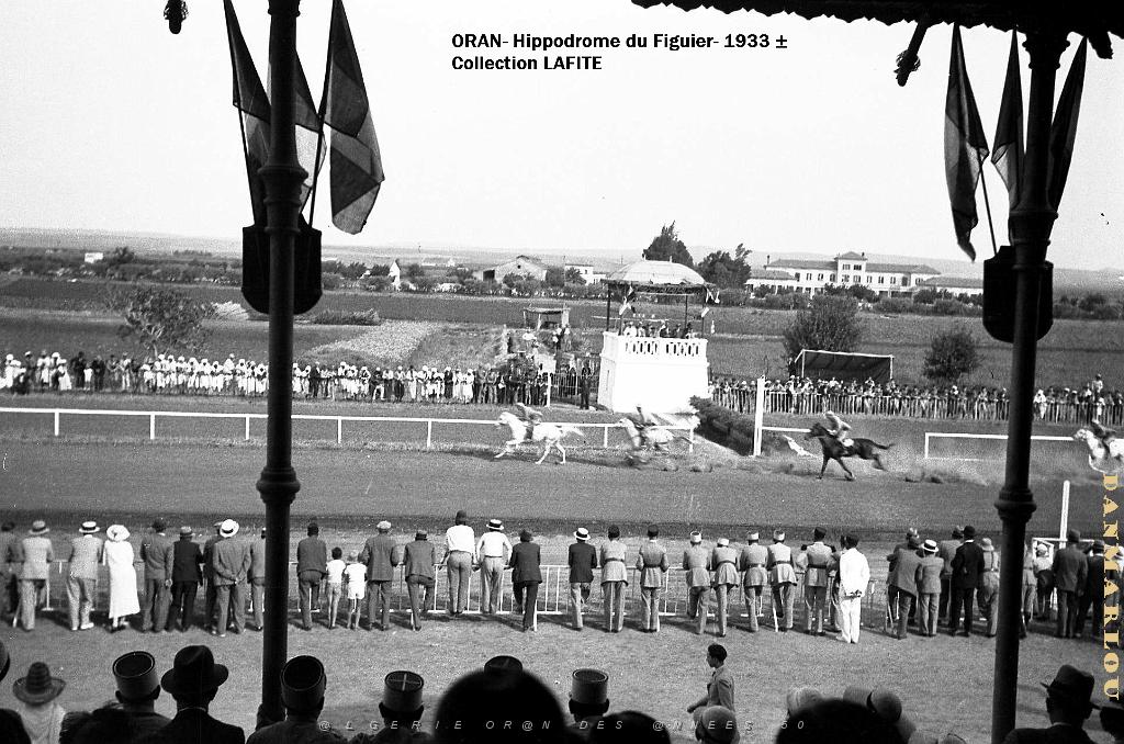 ORAN 1937 HYPPODROME DU FIGIER    (28).jpg